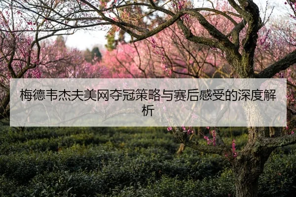 梅德韦杰夫美网夺冠策略与赛后感受的深度解析